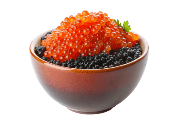 Red and Black Caviar on Red Plate 3D PNG – A Unique Design Element for Versatile Creative Projects