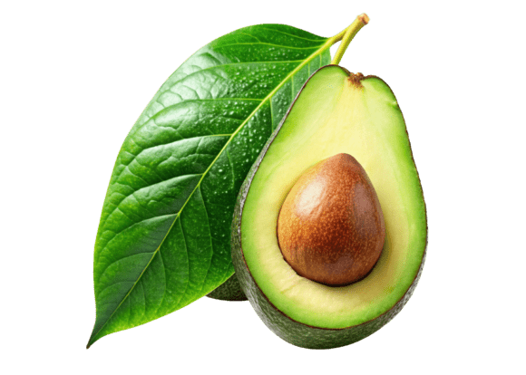 Unlock Creative Possibilities with High-Quality 3D Avocado on Transparent Background PNG Files